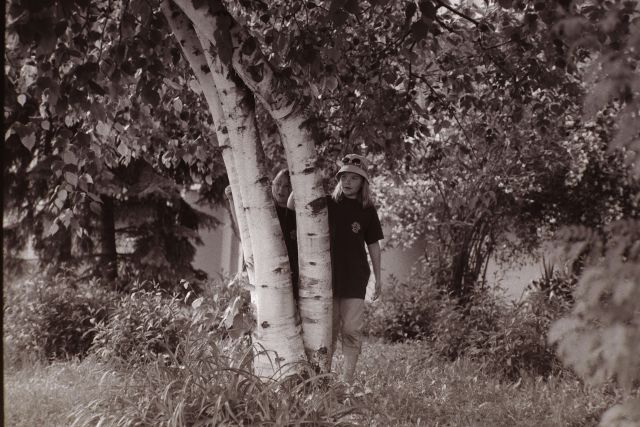 Pohádkový les 1 Pohádkový les 1