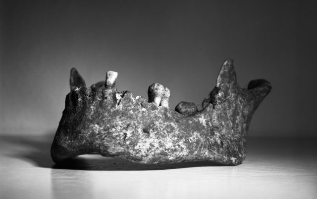 Kostlivec ve skříni, macro 9x12cm scan negativu