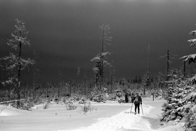 Nad Modravou před bouří