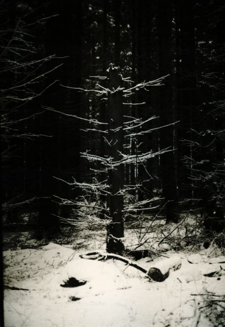 Zimní procházka Zimní procházka