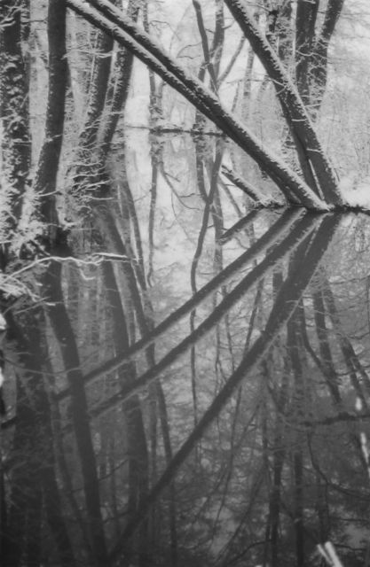 Zrcadlo - Praha Botič Zrcadlo - Praha Botič