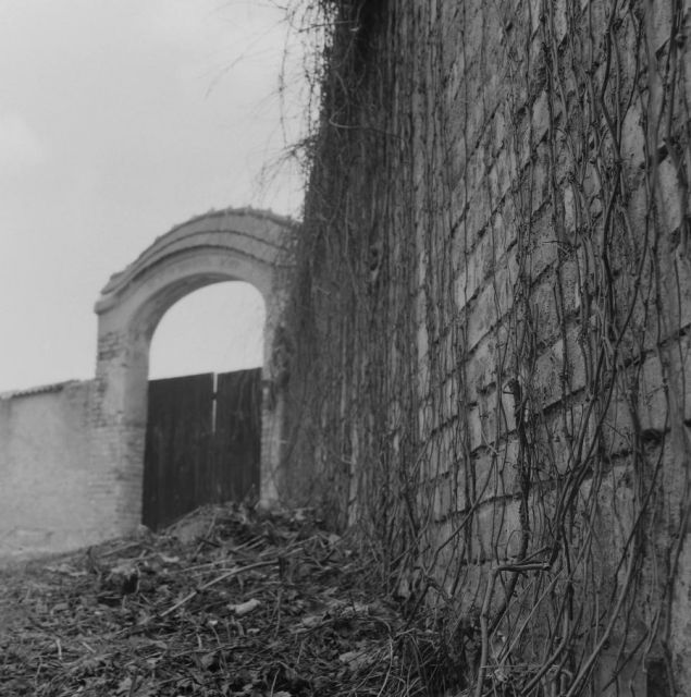 Hřbitov - Litoměřice Hřbitov - Litoměřice