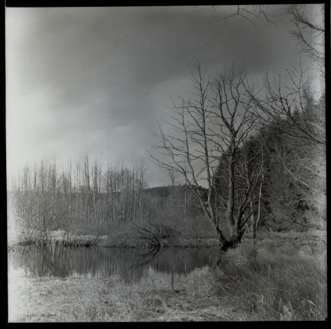 Lučina- bobří ráj Lučina- bobří ráj