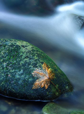 Od Matulákova potoka Od Matulákova potoka