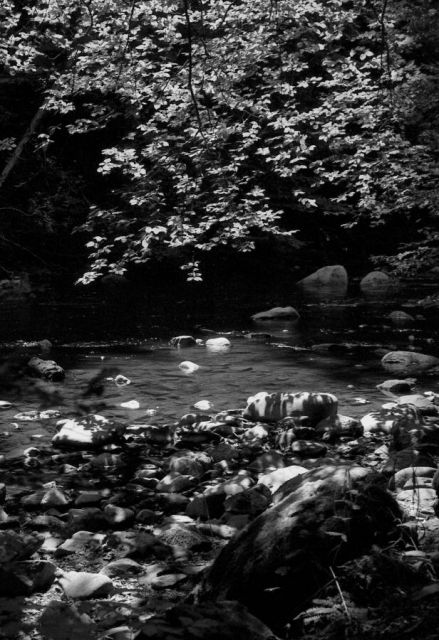 ...u řeky... ...u řeky...