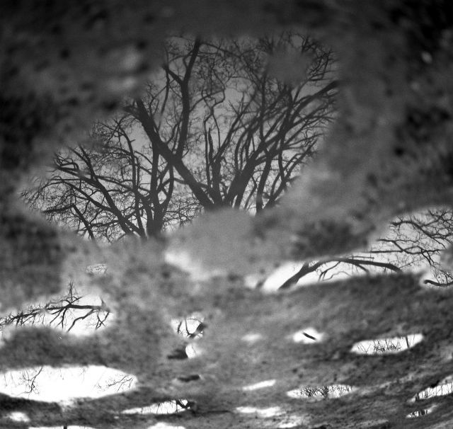 nahoru..dolu nahoru..dolu