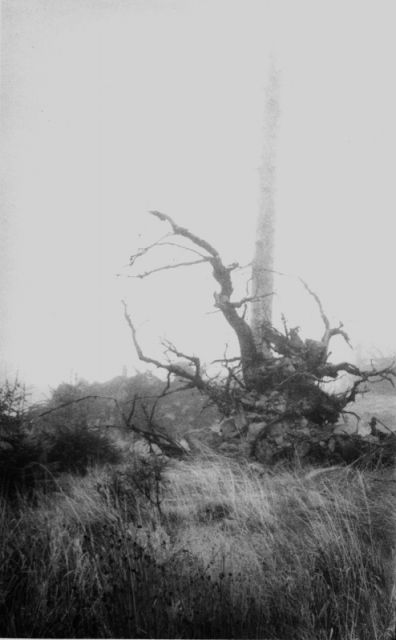 Jezerní hora Jezerní hora