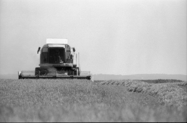 ...samožrout... ...samožrout...