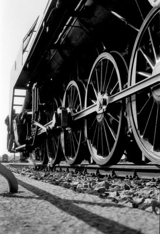 ...napařená kolová... ...napařená kolová...