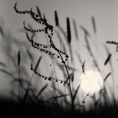 ...na dobrou noc... ...na dobrou noc...