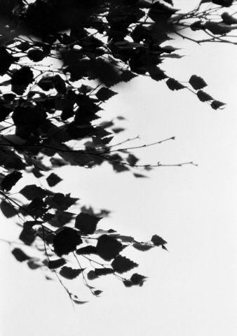 ...zasněná... ...zasněná...