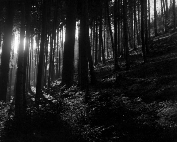 ...světlohrátky... ...světlohrátky...