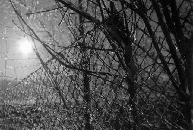 ...za plotem... ...za plotem...