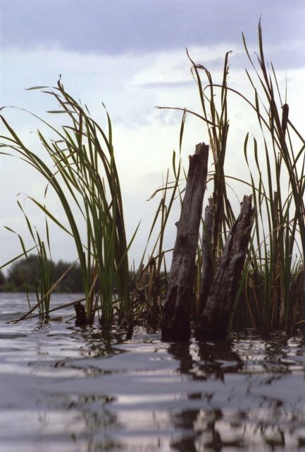 Veselska piskovna U Vlkova