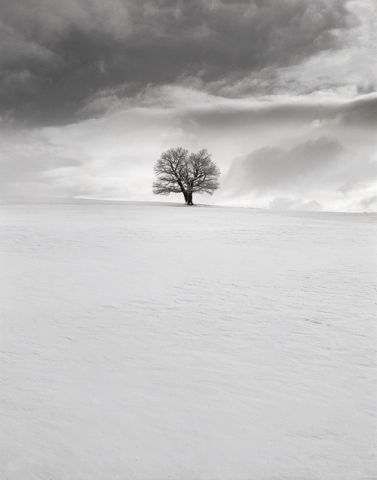 Vrch Strážnice u Kozlovic | Beskydy Vrch Strážnice u Kozlovic | Beskydy