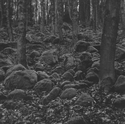 Mariánské Lázně - Žižkův vrch