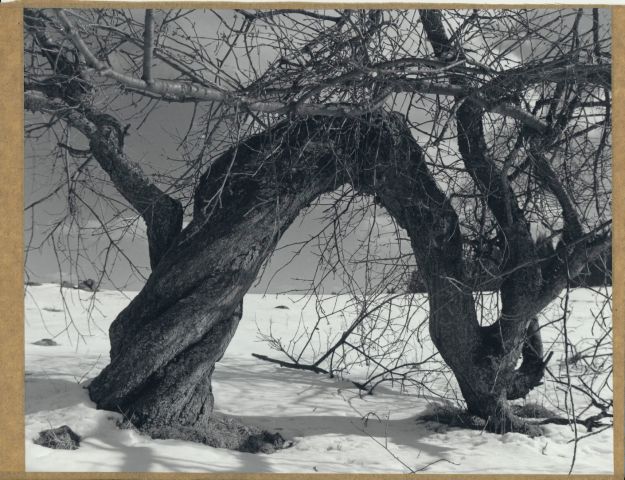 Těžký život - Bývalé Dolní Lazy zima 2014 - Fomabrom112C/Foma GD-L (18x24cm) Těžký život - Bývalé Dolní Lazy zima 2014 - Fomabrom112C/Foma GD-L (18x24cm)