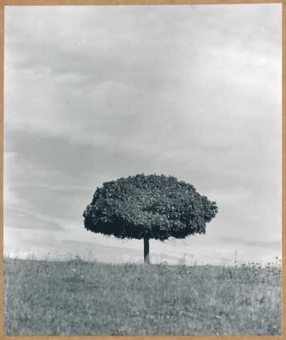 Na kopcích Na kopcích