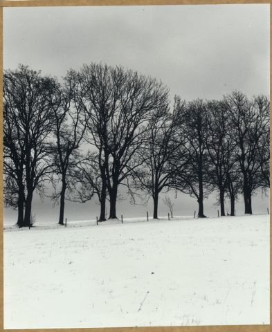 Trapistický klášter - Alej - 2017/i Trapistický klášter - Alej - 2017/i