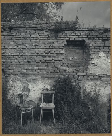 Vokov 2014 Vokov 2014