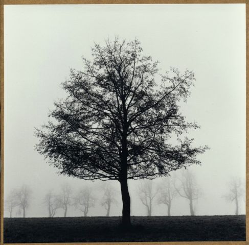 Špatné sny Špatné sny