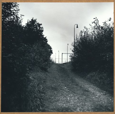 K nádraží v Tršnicích K nádraží v Tršnicích