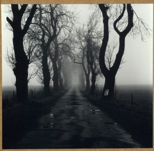 Z Bezvěrova do Boněnova Z Bezvěrova do Boněnova