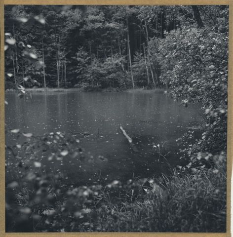 Podlido XII./2015 Podlido XII./2015