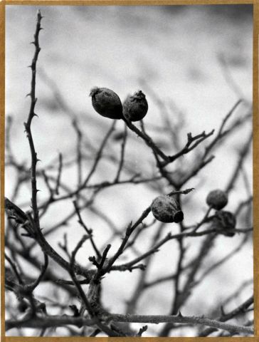 Jdi k šípku Jdi k šípku