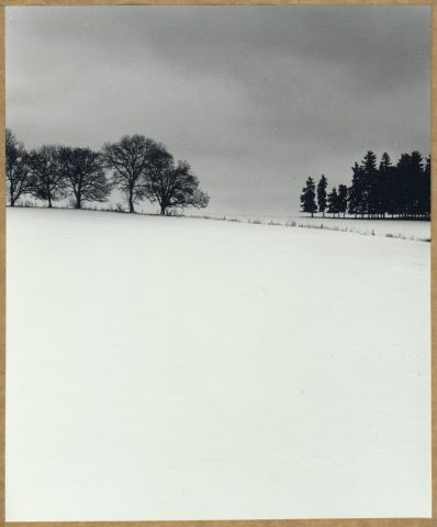 Listnáči proti jehličnanům - Nový Dvůr 2017/i Listnáči proti jehličnanům - Nový Dvůr 2017/i