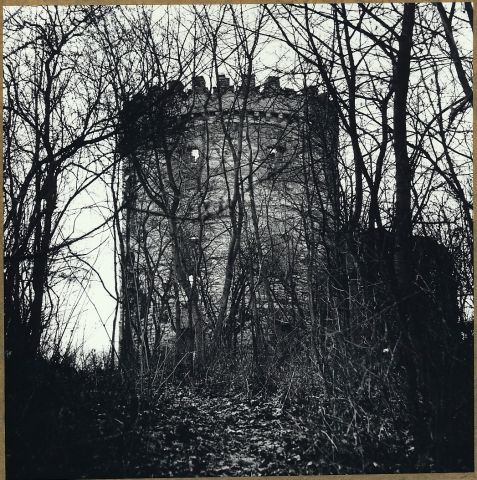 Zřícenina větrného mlýnu Windsor u Siřejovic Zřícenina větrného mlýnu Windsor u Siřejovic