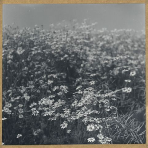 Léto 2014 Léto 2014