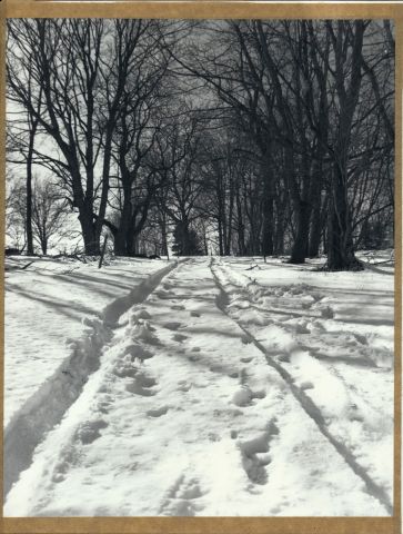 Bývalé Dolní Lazy zima 2014 - Fomabrom112C/Foma GD-L (18x24cm) Bývalé Dolní Lazy zima 2014 - Fomabrom112C/Foma GD-L (18x24cm)