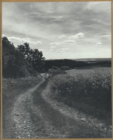 Z Ovesných Kladrub do Martinova 2014/Vi. Z Ovesných Kladrub do Martinova 2014/Vi.