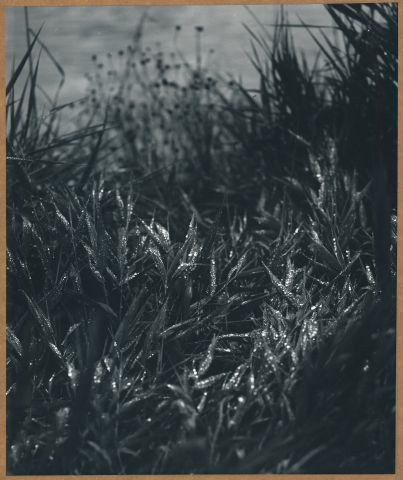 U rybníka U rybníka