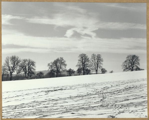 Zimní poledne mezi Vysokou a Starou Vodou  2017/i.
