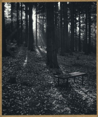 Opuštěná lázeňská lavička Opuštěná lázeňská lavička