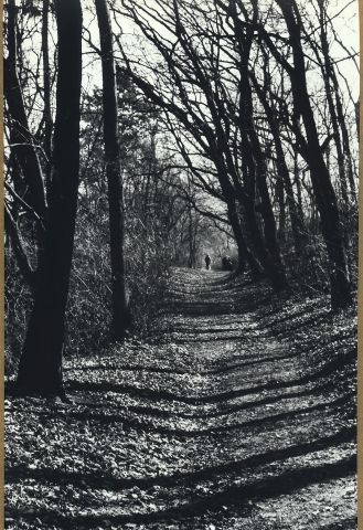 Z Házmburku iii/2017 Z Házmburku iii/2017