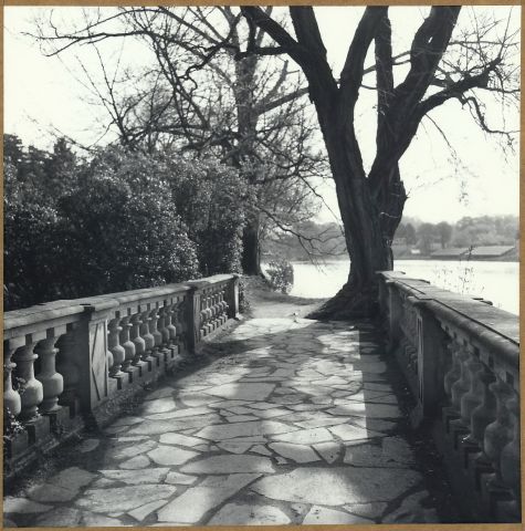 Sobotní ráno u Ohře Sobotní ráno u Ohře