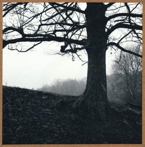 Vysočany 2017 Vysočany 2017