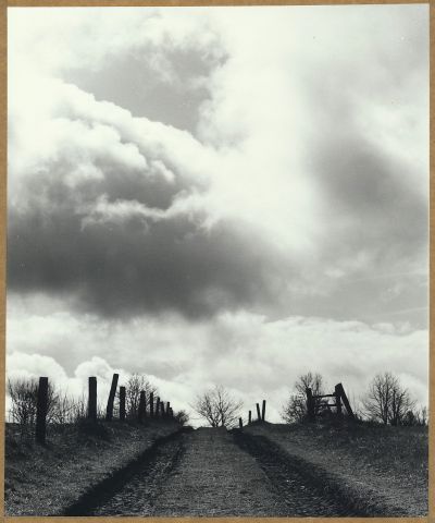 Nad Pastvinou 2017/iV. Nad Pastvinou 2017/iV.