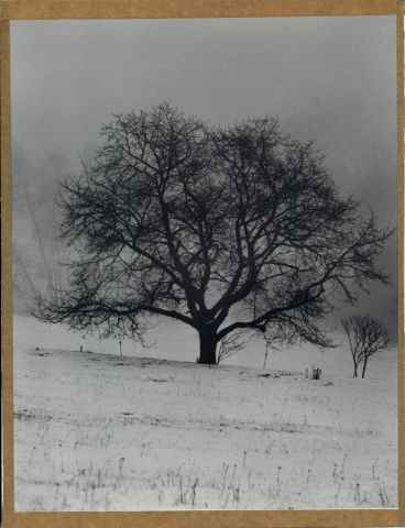 Nad Pístovem Nad Pístovem