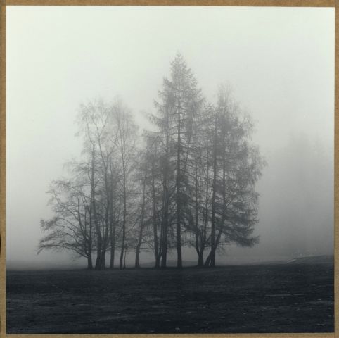 Na golfovém hřišti Na golfovém hřišti