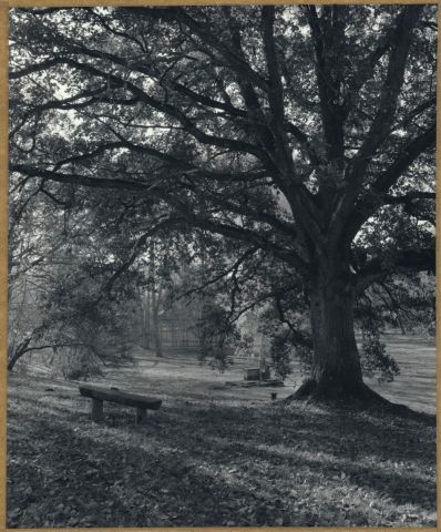 Mariánské Lázně - U Rudolfova pramene Mariánské Lázně - U Rudolfova pramene