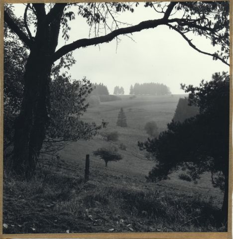 Říjen v pohraničí 2016 Říjen v pohraničí 2016