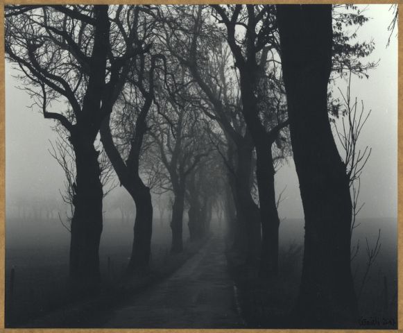 No Name - 2015/Xi No Name - 2015/Xi