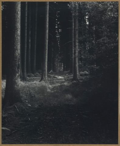 Kamenec u Krásného Kamenec u Krásného