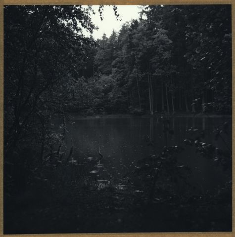 Podlido XII./2015 Podlido XII./2015