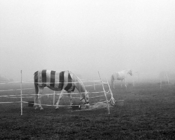 2048 Kolesa2019 04 A