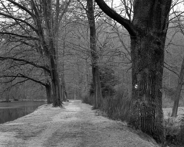 Zámecký park v Raduni Zámecký park v Raduni